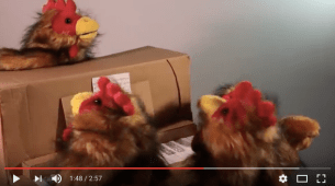 Screen Shot 2017-06-27 at 3.22.47 PM