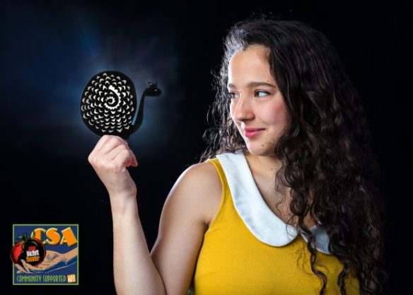 CSA6_PD_csalogo-620x443